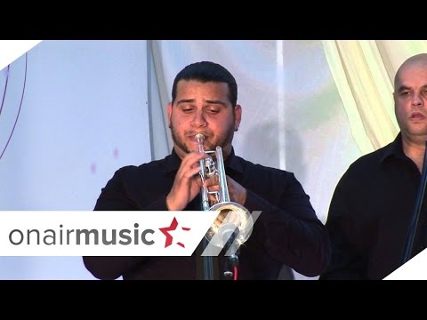 Dzumbus   Vo ZIVO   Bumbari Bend Blagica Pavlovska i Ferus Mustafov