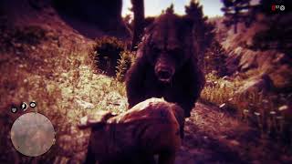 Mauled By A Bear: Red Dead Redemption 2 (Xbox One X)
