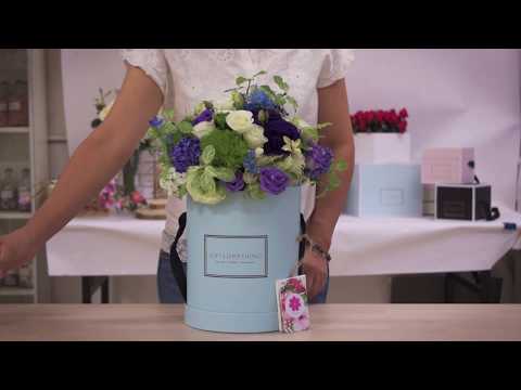 download lagu mp3 mp4 Bloom Box Sg, download lagu Bloom Box Sg gratis, unduh video klip Bloom Box Sg