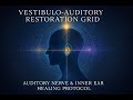 Vestibulo Auditory Restoration Grid Auditory Nerve Inner Ear Healing Protocol