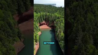 Bay of Fundy: Witness the World's Highest Tides in Action! (54 ft Rise/Fall!) #shorts