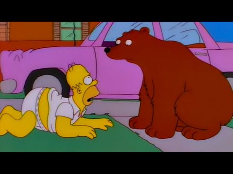 TOP 20 SIMPSONS BEARS