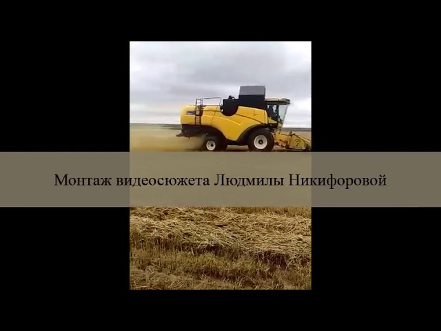 Уборка озимых на подбор. ООО "АФ "Волжская". 29.07.2019