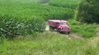 Hauling Wheat with the Studebaker