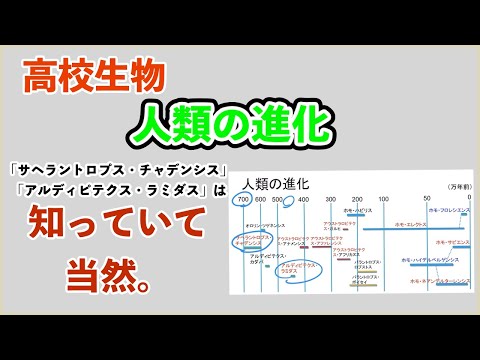 魚の化石は頭蓋骨の進化に関する情報を提供する