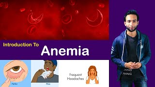 Anemia -  Introduction ( classification / Pathogenesis / Symptoms / Lab investigations )