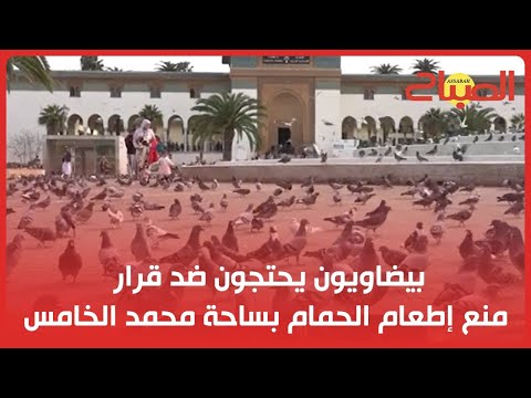 بيضاويون يحتجون ضد قرار منع إطعام الحمام بساحة محمد الخامس