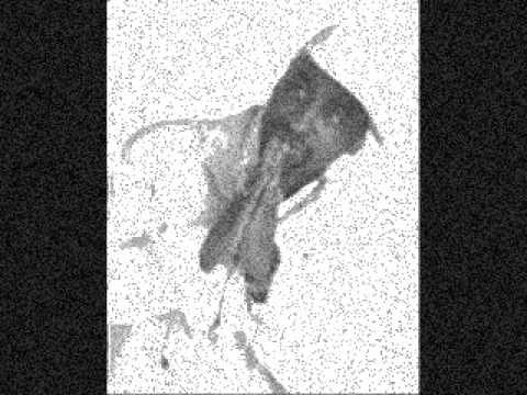 Bad Man And Woman (new version) lyrics