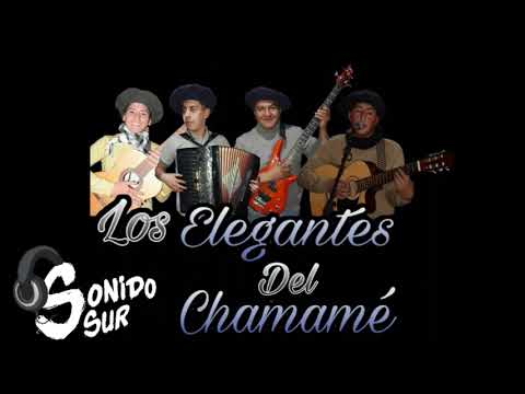 Los Elegantes del Chamamé (Fue Culpa de Los Dos)🎶🎙️ Sonido Sur 🎶