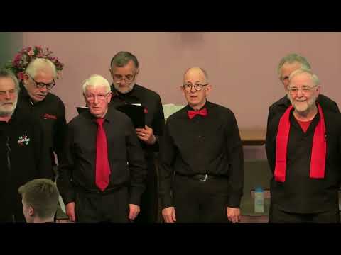 Daydream Believer performed by Voicemale