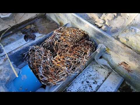 30th January 2022. Top secret nuclear bunker renovation project. The Sanctuary/The Mysterious Corner