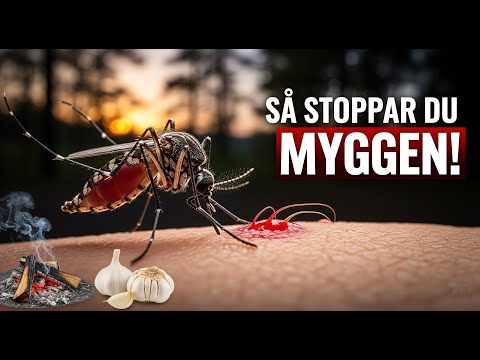 Mygg: Fakta, Bekämpning och Naturliga Lösningar mot Myggbett | Mosquito Magnet Pioneer