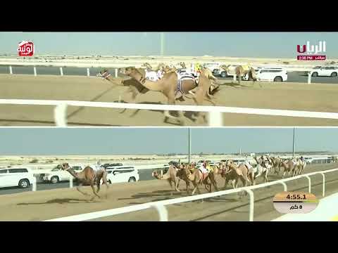  ش 8 (الصداوي) لـ سيف محمد نخيره المحرمي 12:21:39  مهرجان الأمير الوالد 2026/2/9 ثنايا الشحانية   