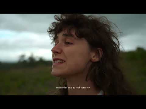 video frame placeholder