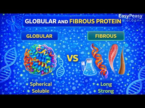 Fibrous Protein: The Molecular Backbone | Vibepedia