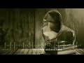 Thamnam Thamnam Nannee Manasu Midiyutide Kannada Evergreen Song WhatsApp Status