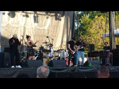 The John Gaar Band at Grapefest 2015