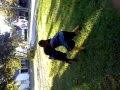 Boy Gets Slammed Hard MUST WATCH