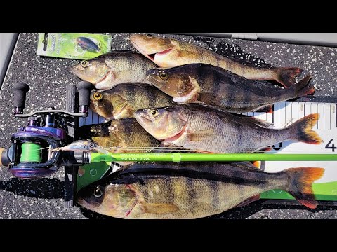 KALASTUSREISSU JUURUSVEDELLE | AHVENET KYYTIIN KAISLIKOITTEN VARSILTA | AHVENENKALASTUS |