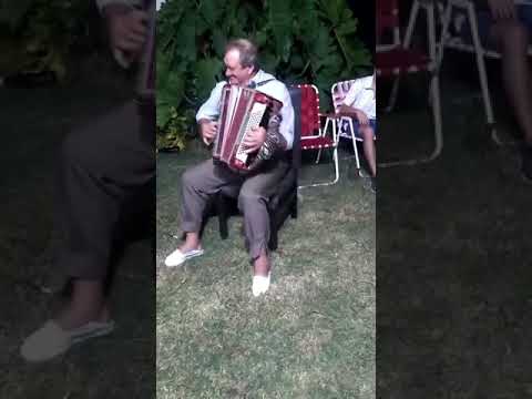 Aldea Santa María .recibiendo el 2023 a puro acordeón #shorts #campo #music