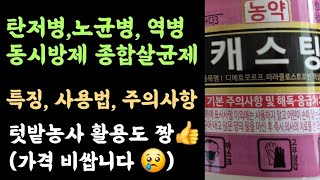 캐스팅액상수화제 ???? 탄저병, 역병, 노균병 등 다양한 병해 종합살균제????  특징, 주의사항, 사용방…