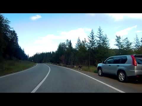 Poiana Largului  -  Târgu Neamț