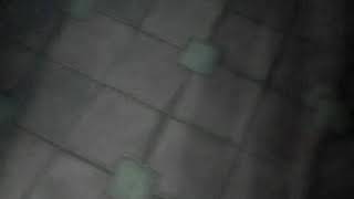 ШОК!самое смешное видео посмейтесь от души снимала для инсты не выложила