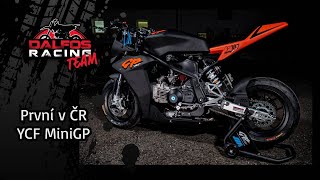 YCF mini GP 187 2025