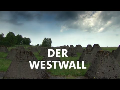 Historischer Westwall: Vom Kriegserbe zur Naturidylle