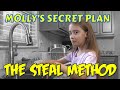 Molly's Secret Plan: Using the STEAL Method for Characterization