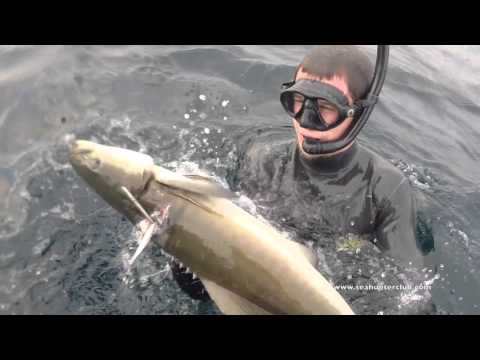Подводная охота Пхукет | spearfishing phuket 16 12 15