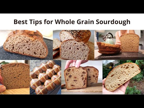 My Best Tips for Whole Grain / Whole Wheat Sourdough Bread Making