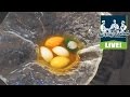 Michelin Star Chef Claude Bosi Cooks Winter Vegetable Dumpling And Toasted Rice Consomme
