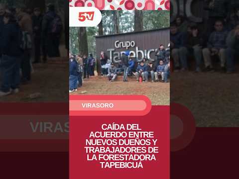 Situación de los trabajadores de la Forestadora Tapebicuá
