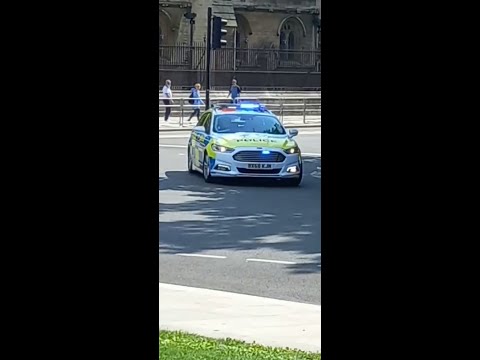 MET police dogs and unmarked Peugeot responding