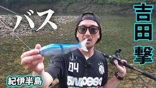 釣果情報