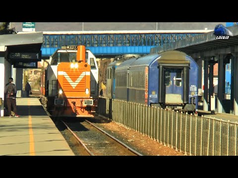 Trenuri & Activitate Feroviară/Trains & Rail Activity in Gara Râmnicu Vâlcea Station - 03 March 2021