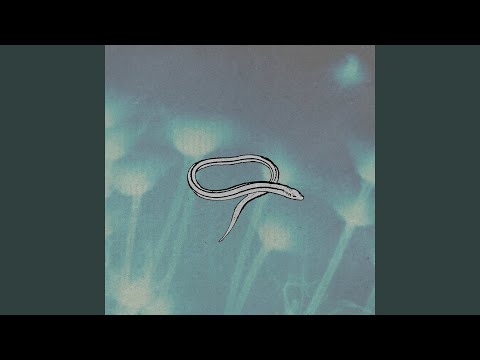 Here Come the Snakes - Crooked Fingers