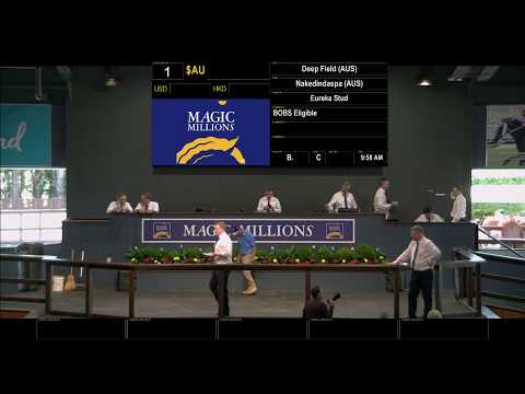 2019 Gold Coast March Yearling Sale Day 1 (Live Stream Archive)