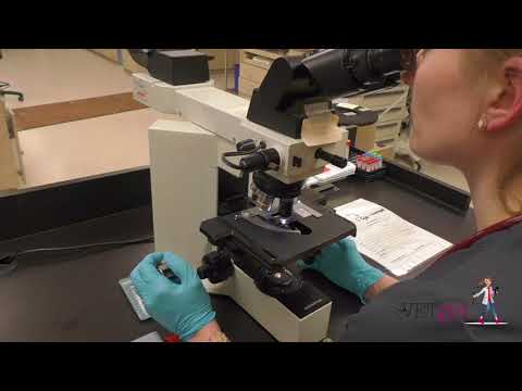 How to perform a CBC in a dog or cat | VETgirl Veterinary Continuing Education Videos