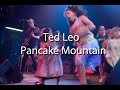 Pancake Mountain | Ted Leo and the Pharmacists | Little Dawn