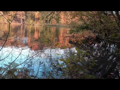 Newmillerdam in the Autumn light. By Mike Gaborak