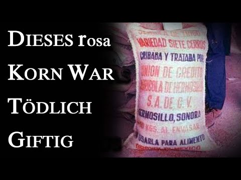 Vergiftetes Getreide: Die tödliche Quecksilber-Katastrophe im Irak | Faszinierender Horror