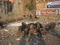 Трущебы в Мумбаи, Индия - Миллионер из трущоб, часть 3 
