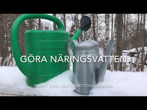 Bästa näringsvattnet kompostte direkt i odlingarna för växthuset eller odlingstunneln