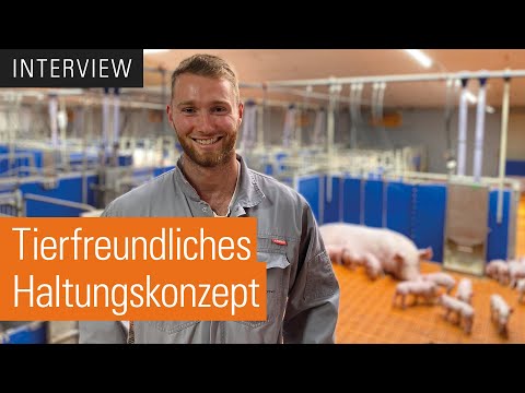 Group housing of piglet-bearing sows | AGILO HL