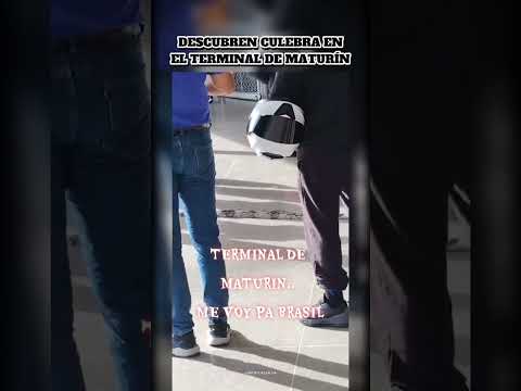 CULEBRA EN EL TERMINAL DE MATURÍN 🇻🇪