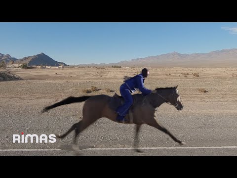 Miniatura de VOU 787