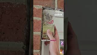Gasoline Wasp Nest Removal 😳
