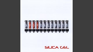 Silica Gel Accordi